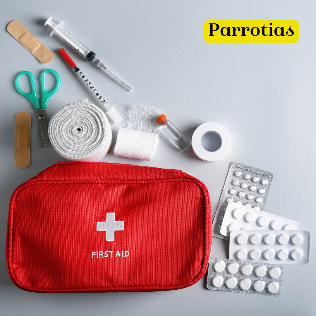 Stay prepared for any emergency with our comprehensive first aid kit! Compact and easy to carry, it's the must-have item for your safety. Order now! #firstaidkit #safety #emergencypreparedness #lifesaver #beprepared #hse #ppe #parrotias