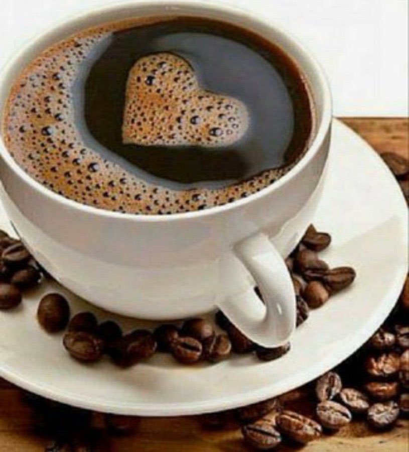 VojkicV's tweet photo. @AdnanBiscevic Dobro vece Adnane!☕️☕️🍀☀️☀️🥂 https://t.co/pReITtqg3A