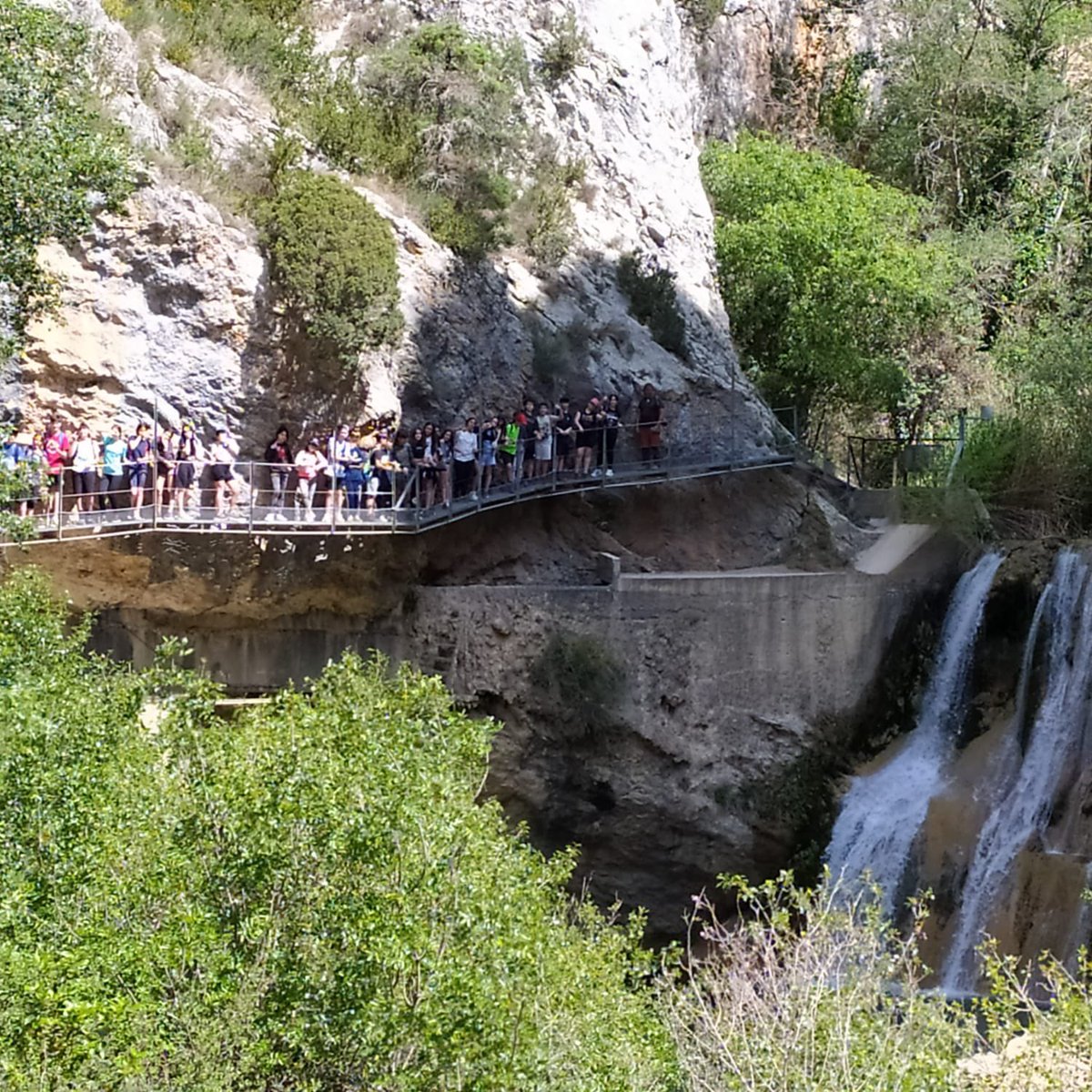 IESPedroCerrada tweet media