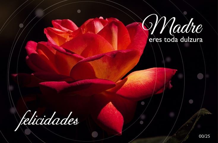 Mamá,
yo quiero ser de plata.
Hijo,
tendrás mucho frío.
Mamá,
yo quiero ser de agua.
Hijo,
tendrás mucho frío.
Mamá, 
bórdame en tu almohada.
¡Eso sí!
¡Ahora mismo!

✍️ Federico García Lorca

🥳🎉 Felicidades Mamá 🤱