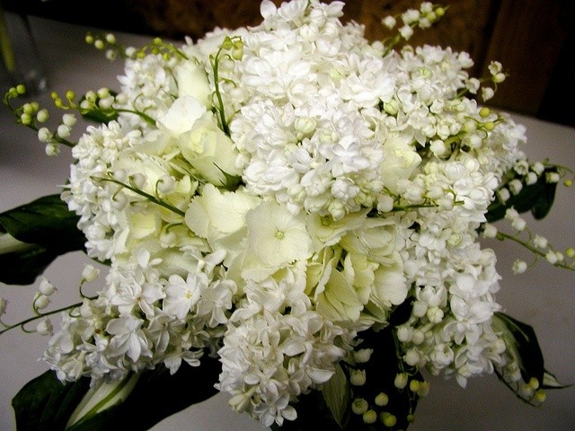 AprussianPrince's tweet photo. ᅠᅠ
ᅠᅠ

ᅠᅠ
ᅠᅠ
                   𝓗𝓪𝓹𝓹𝔂 𝓫𝓲𝓻𝓽𝓱𝓭𝓪𝔂 𝓶𝔂 𝓭𝓮𝓪𝓻. 
                          𝓐𝓵𝓵 𝓽𝓱𝓮 𝓫𝓮𝓼𝓽 𝔀𝓲𝓼𝓱𝓮𝓼, 
                                   ~𝓕.𝓒.𝓗~ᅠᅠ
ᅠᅠ

ᅠᅠ
ᅠᅠ https://t.co/aTdES15LS4
