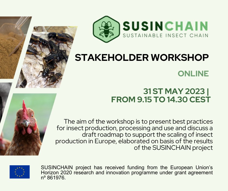 📩Opportunity alert!
📌SUSINCHAIN stakeholder workshop!
🗓31 May 2023, 9.15 to 14.30 CEST
👉🏻Register here: lnkd.in/dYYiqAZ8...
📍More project updates at susinchain.eu
#susinchain #H2020#EUproject #insectprotein 
#EUproject #innovation #insect #proteinsource
