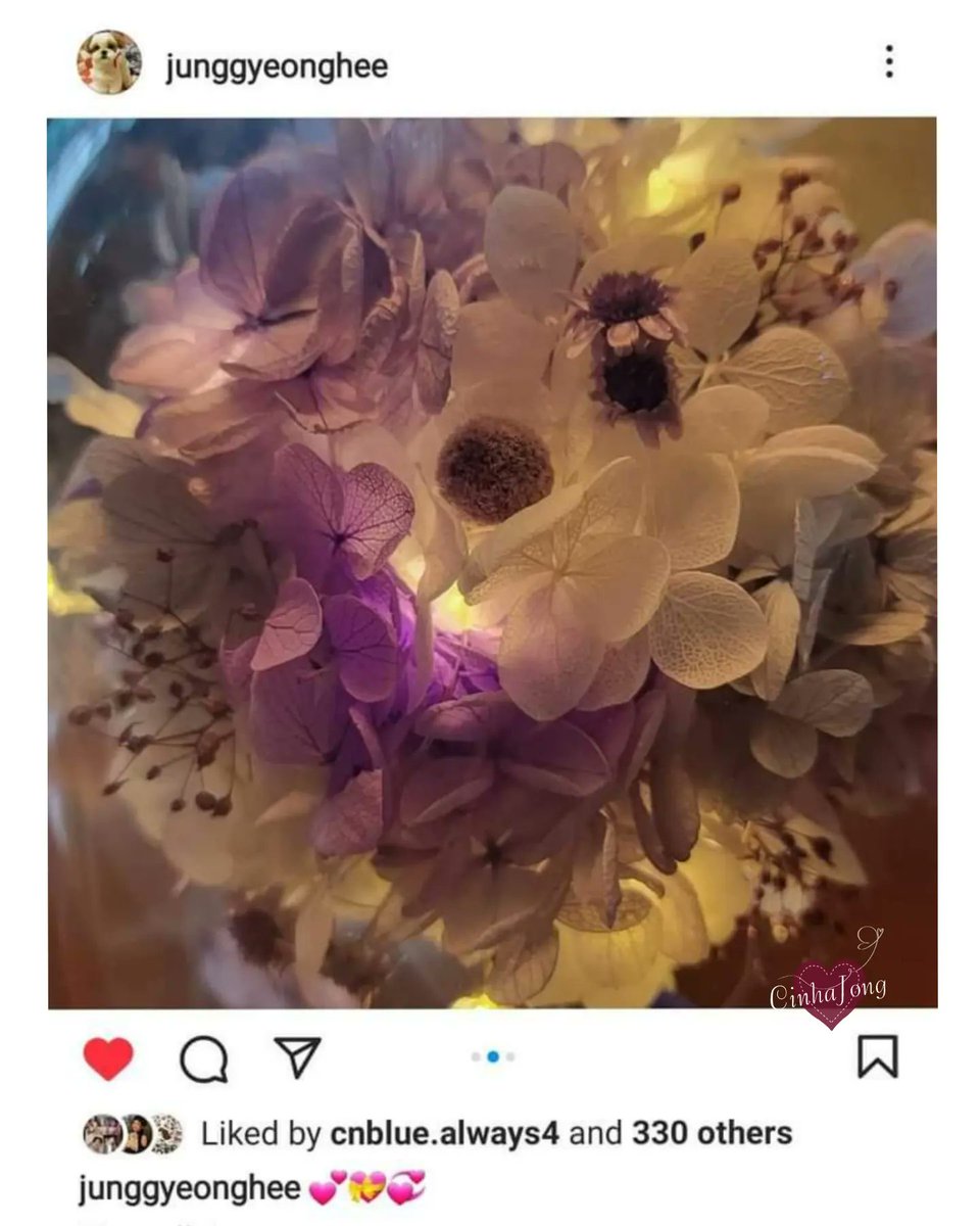 cinhajong's tweet photo. 🎁 JH's BIRTHDAY GIFTS 🎁
Our flower for JH's parents arrived!
JH's mom posted!♥️

I thank friends that took part!!!💕

#OneLeeJongHyun @cnbluegt #LeeJongHyun
#イ・ジョンヒョン 
#guitarist #kpop #music https://t.co/MdnzA3Wd7e