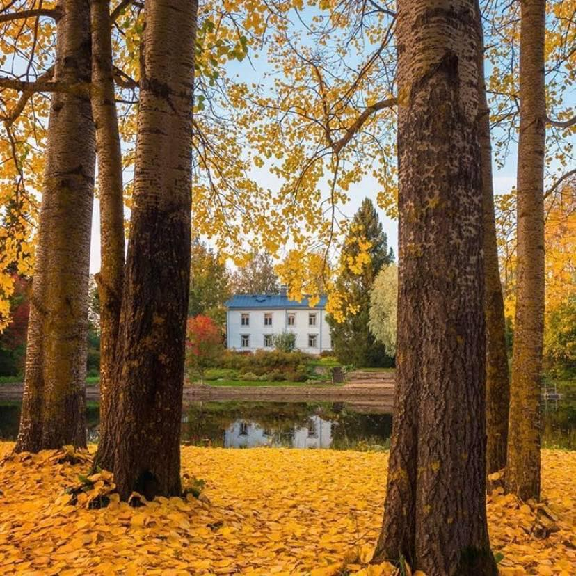 artindetails's tweet photo. autumn. https://t.co/jgJUAmK7td