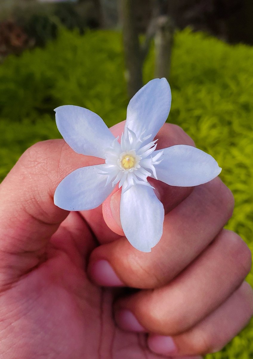 Less details, more colours.