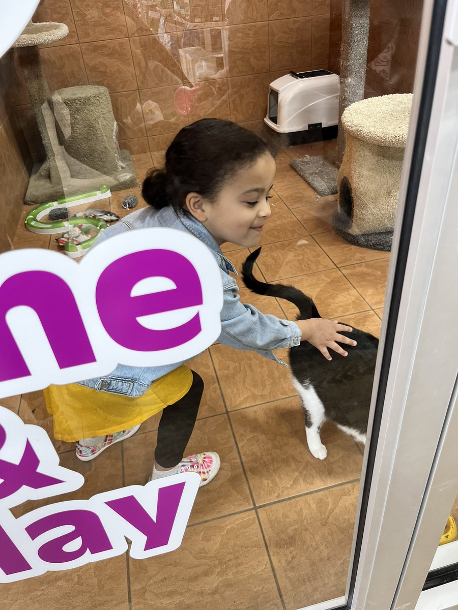 Imani loves cats but we don't so we stop in at <a href="/PetlandCA/">Petland Canada</a> for her to visit her buddy 🐈‍⬛