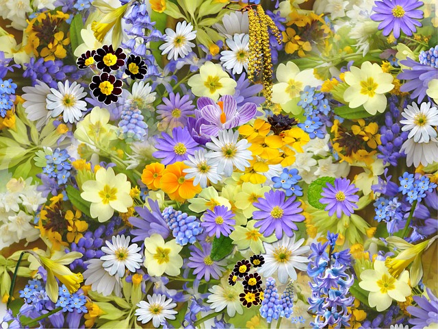 CentrePeopleJob's tweet photo. 💐🌹Chelsea in Bloom 🌹💐

Dozens of floral sculptures and arches will take over west London in May, with the return of Chelsea in Bloom.
5月、チェルシー・イン・ブルームが復活し、何十もの花の彫刻やアーチが西ロンドンを覆い尽くします。

https://t.co/NcDy0vum06

💐🌹💐🌹💐 https://t.co/0IlHqnJHCv
