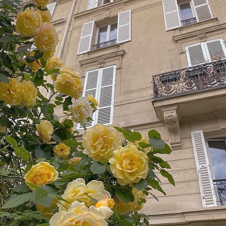 artindetails's tweet photo. Paris in details. https://t.co/msKLd9I0rq