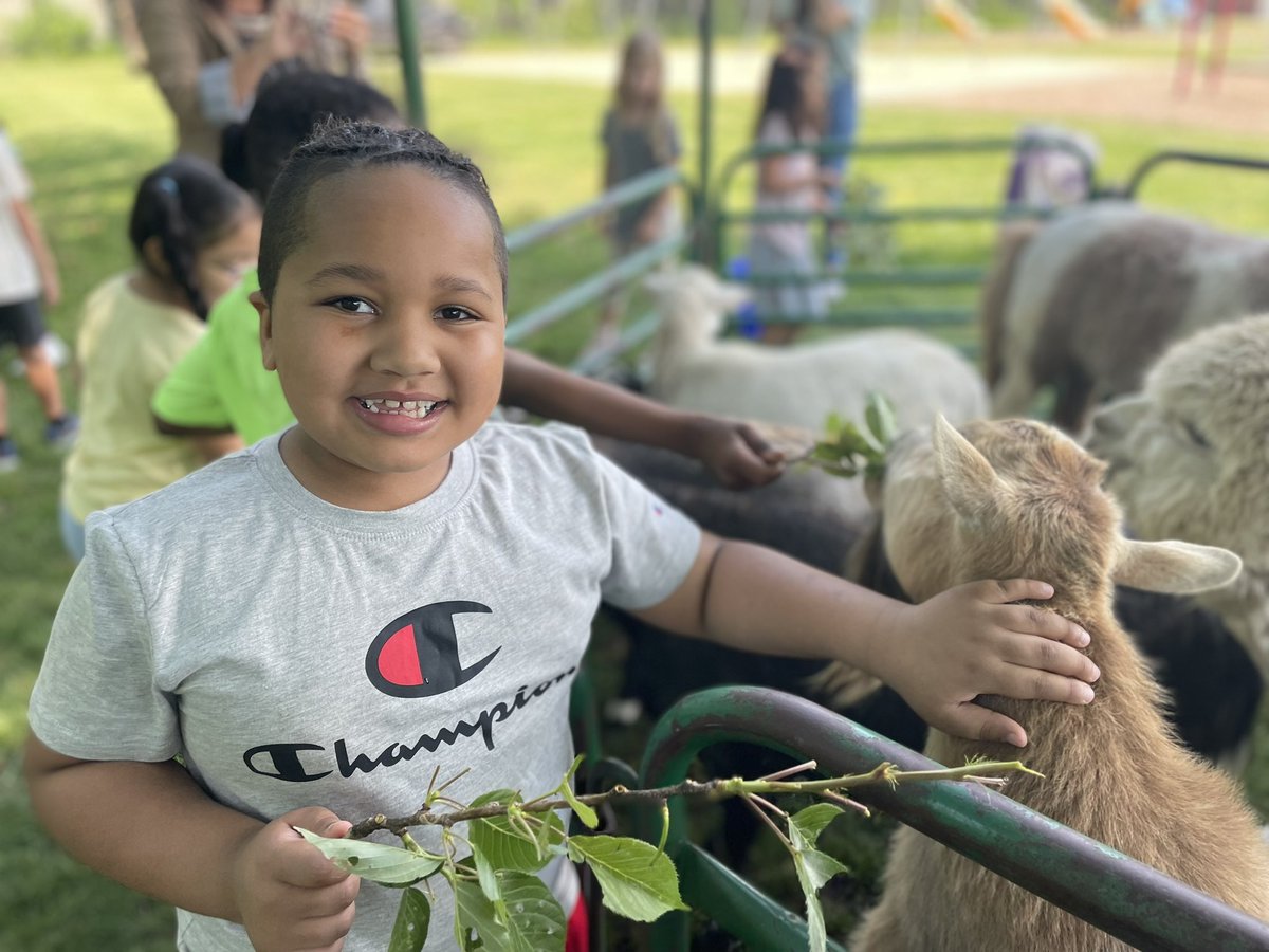 You need strong leadership or else your school will turn into a zoo. #aqbteam