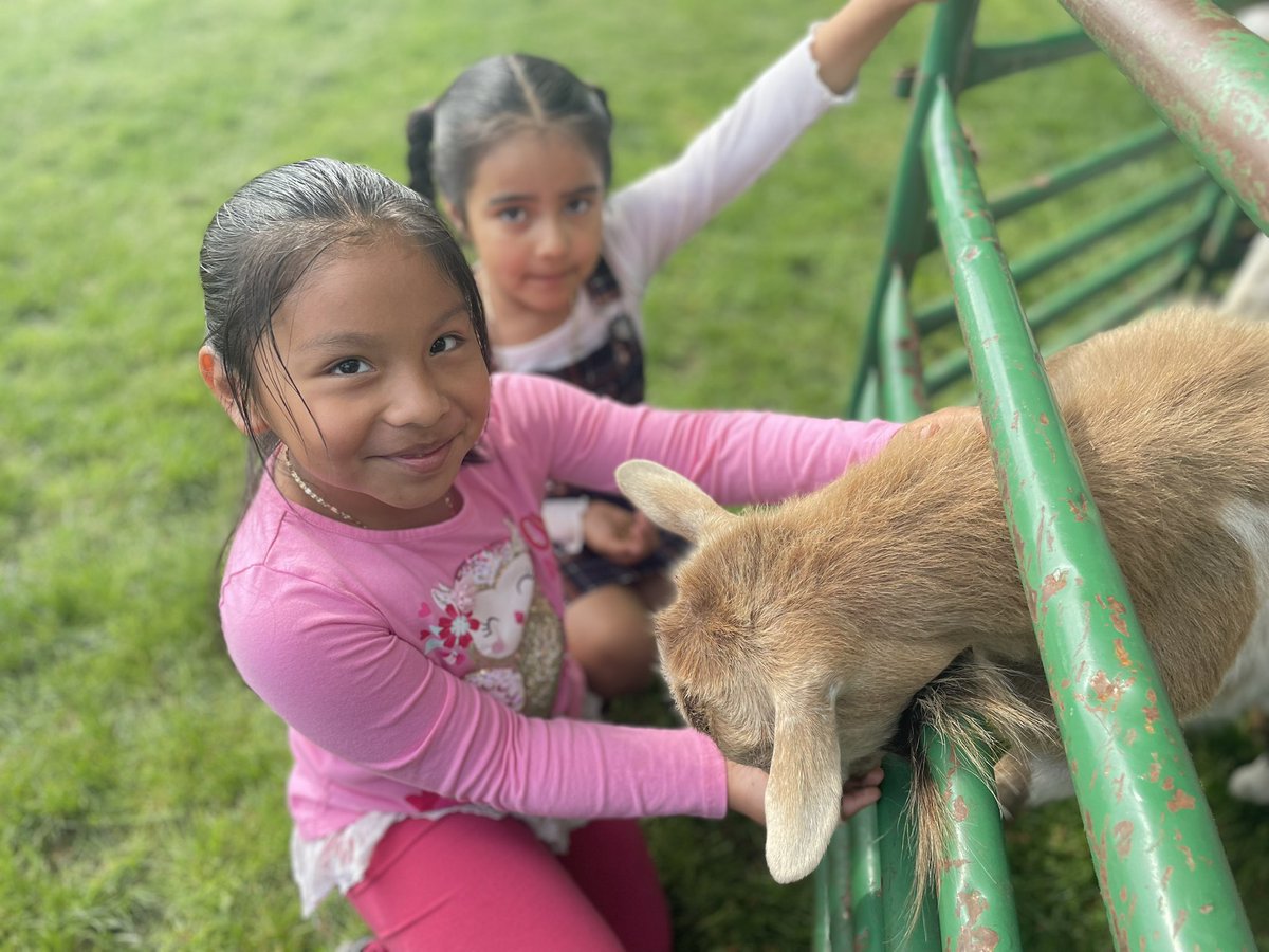 Bryan Miltenberg tweet media