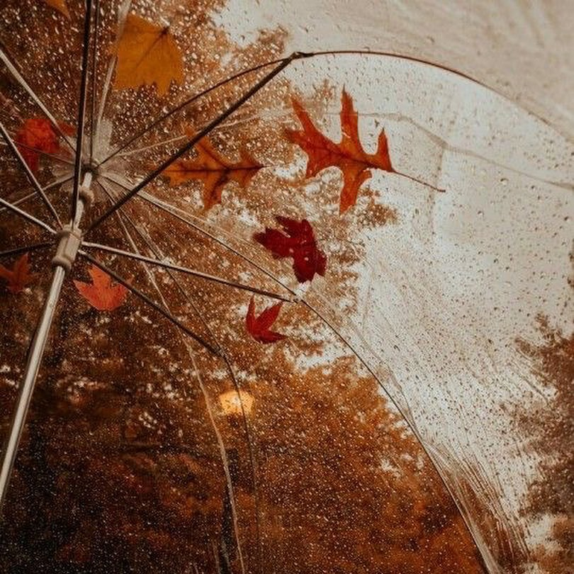 artindetails's tweet photo. the sound of the rain. https://t.co/6hUWzw4dHf