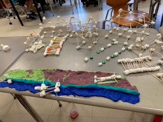 Megan Barnes tweet media