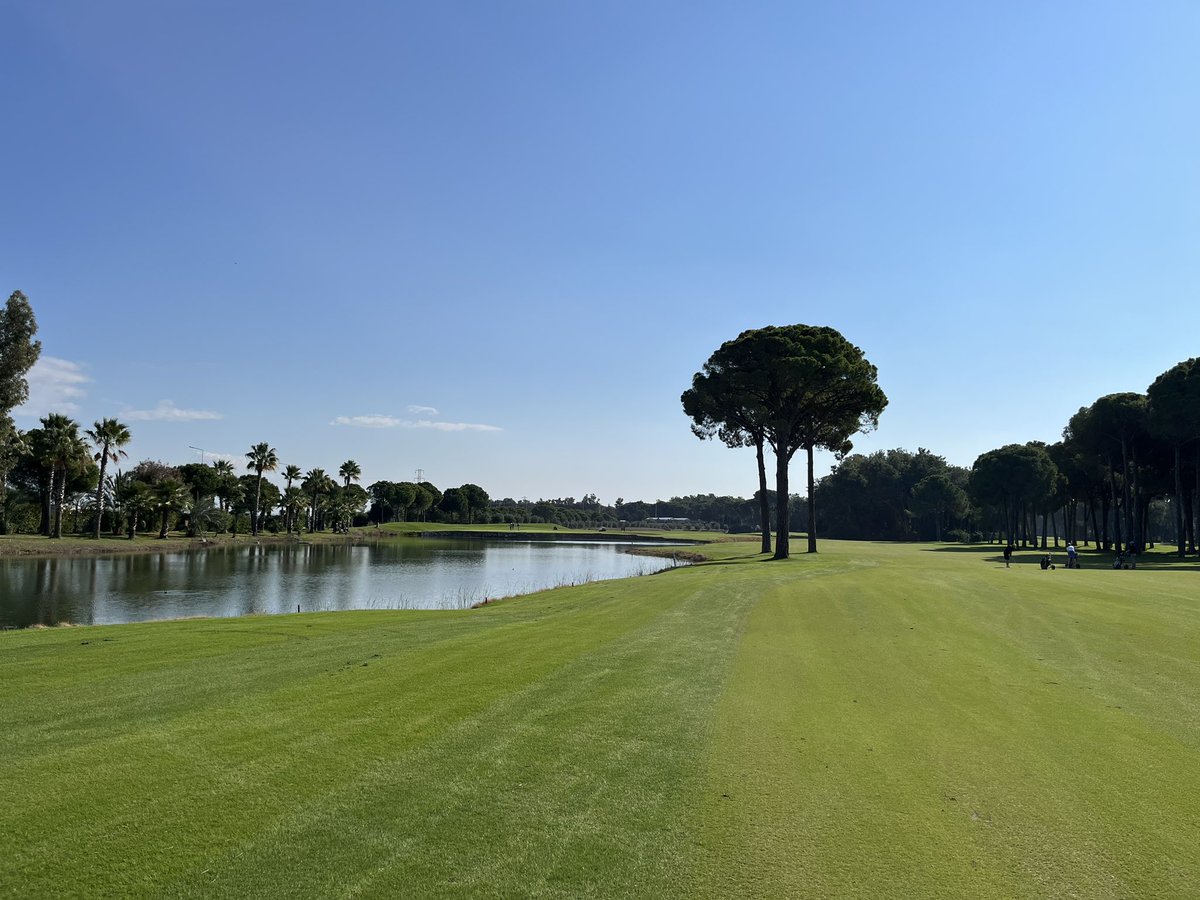 Muttley Golf Pro tweet media