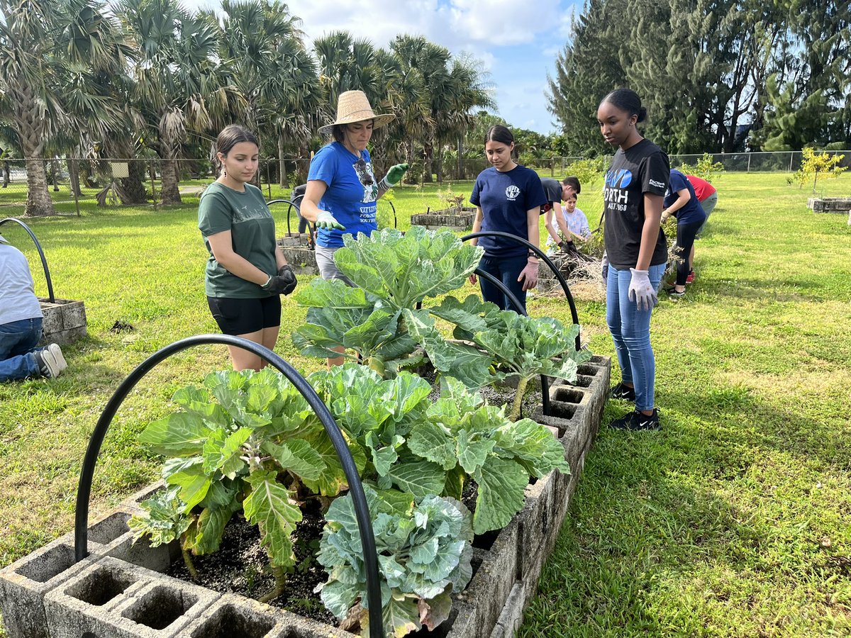 cmshauser4math's tweet image. It’s a great day to take @SASWhiteTigers North students to the @MDCollege Garden to help prepare the vegetable beds for summer. Next school year, we will help plant and harvest food for the pantry. #communityservice #teamwork