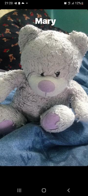 Lost: As I stayed in this hotel over... | Hotel Lilly, West Brompton  | posts.whiteboomerang.com/lostteddy/msg/… #LostTeddy