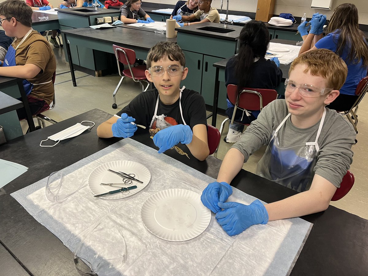GEARUPBurke's tweet photo. So excited to have students at Table Rock Middle School GEAR-ing UP for science with frog dissections! ๐ธ๐ฅผ๐ฌ#bcpsignitelearning https://t.co/OBEA29xUd7