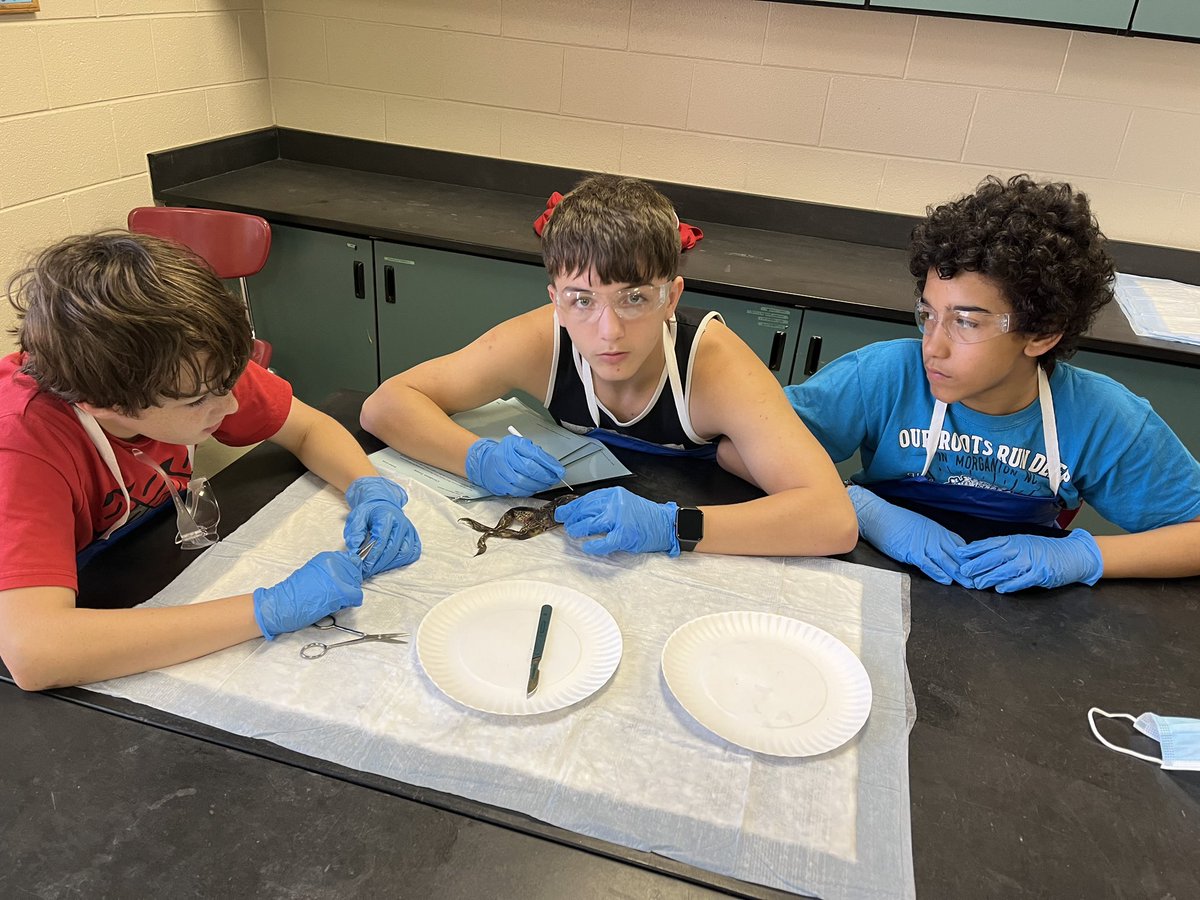 GEARUPBurke's tweet photo. So excited to have students at Table Rock Middle School GEAR-ing UP for science with frog dissections! ๐ธ๐ฅผ๐ฌ#bcpsignitelearning https://t.co/OBEA29xUd7