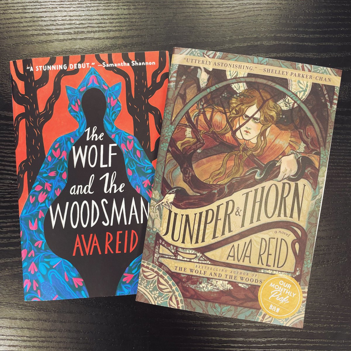 Our May Speculative Fiction pick is from the author of the booktok favorite, Wolf and the Woodsman. This time join Ava Reid in a gothic retelling of The Juniper Tree.

#BNBuzz #BNTheKnow #iloveit #bnbirkdale #BNMagic #BNBookFun #yeahTHATbn #ourbn #BNMonthlyPicks #FantasyFriday