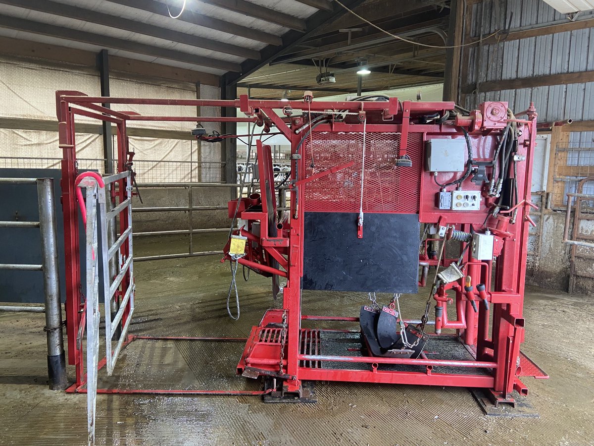 kburgi2's tweet image. Cleaning day for this stationary trimming chute! Working with clean reliable equipment makes hoof trimming fun and efficient! #NoLamenessTolerance #AnimalWellBeing #SaveCowsNetwork