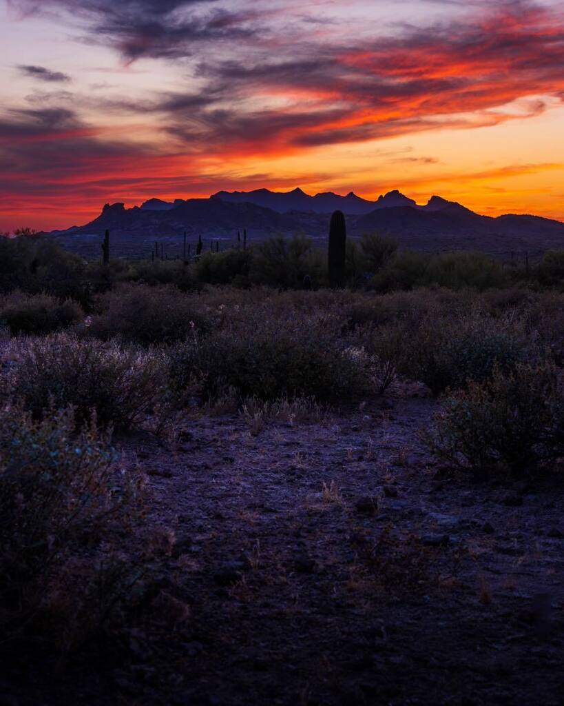 I was given a tip once “always look behind you”. I was focused on shooting the mountain in front of me and when I finished and turned around this is what I saw. #sunset #arizona #lostdutchmanstatepark #desert 

.

#canon #canonexploreroflight #canonusa #… instagr.am/p/CsJlyqmJ-tf/