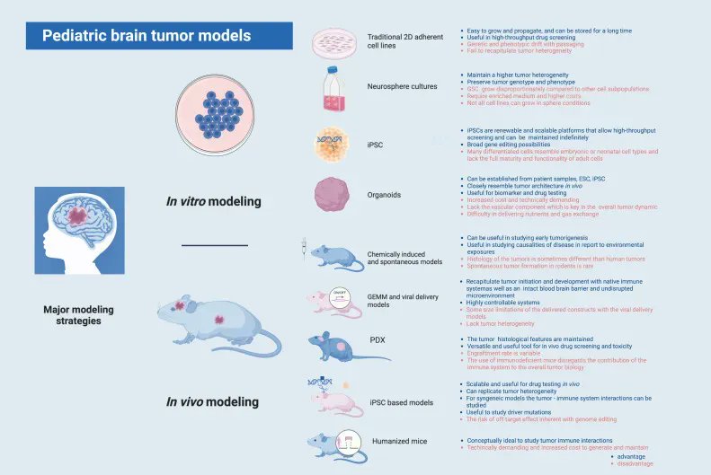 Children’s Brain Tumor Network tweet media