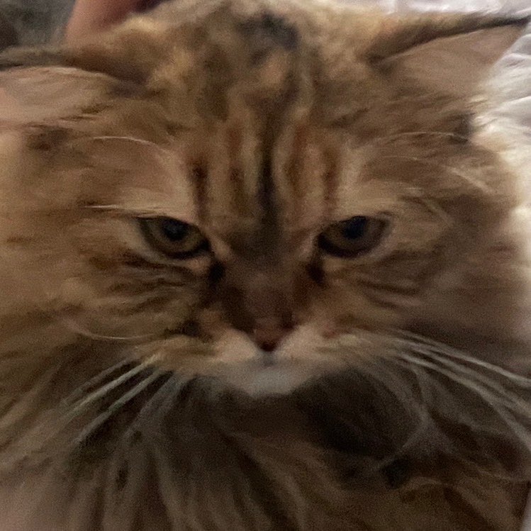 <a href="/benjensaucex/">เบนเจ้น</a>