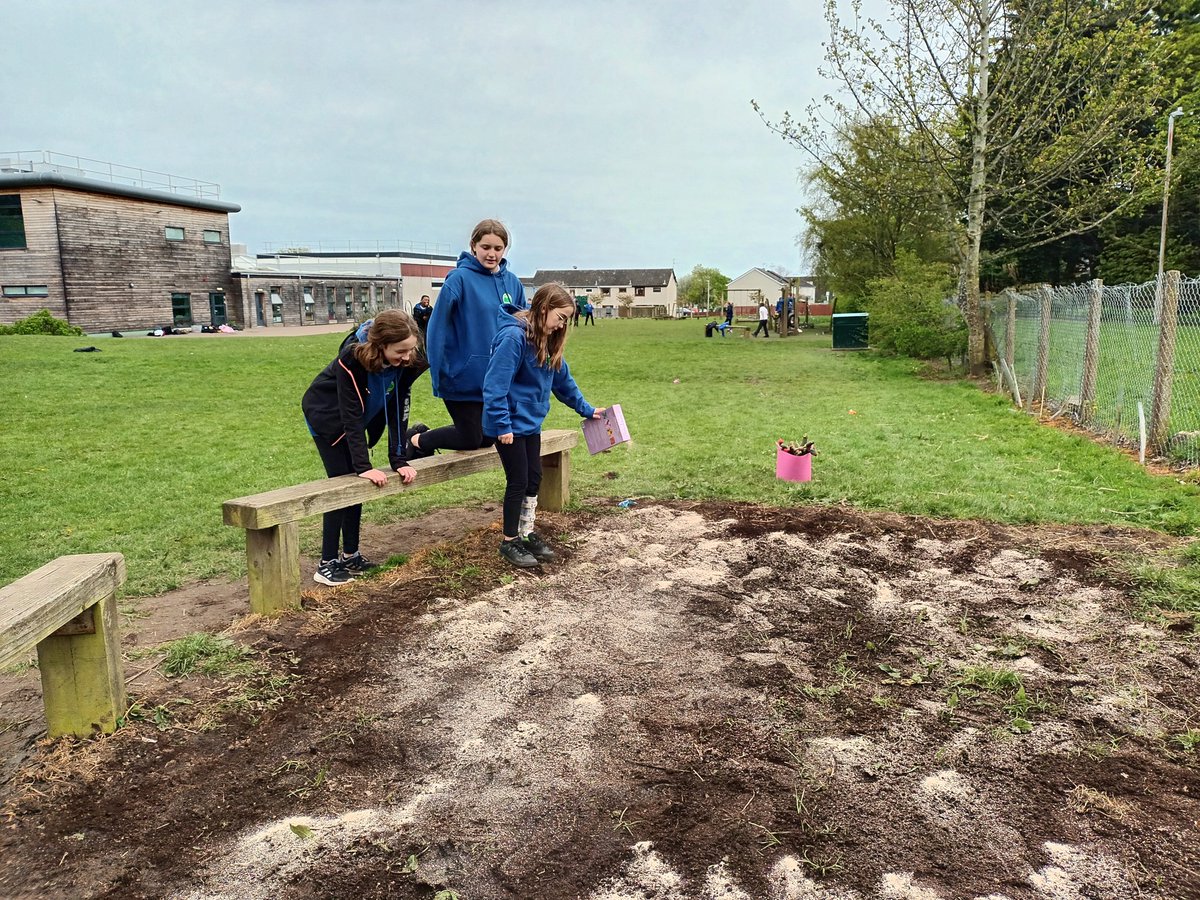 P7 @greenbraeschool have been doing some weeding and sewing seeds in the playground. We are hoping to have another wildflower patch growing before they leave in July!🌼♻️🤞
