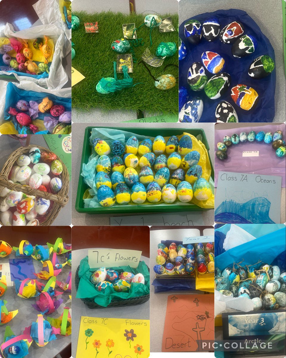 Phoenix Curriculum tweet media