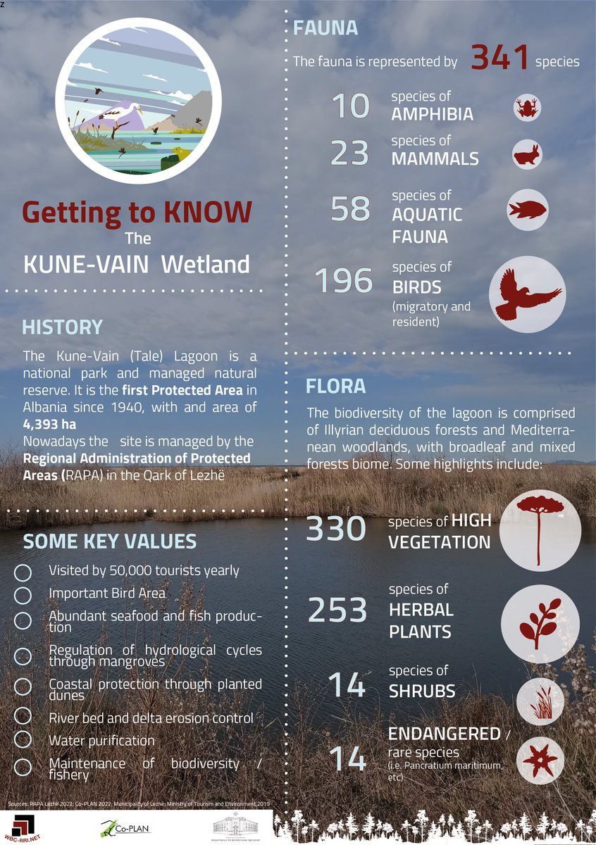 co_plan's tweet photo. Did you know that the Kune-Vaini Lagoon is home to more than 196 species of migratory and resident birds? Have a look at this series of infographics.

#CoPLANAlbania  #MinistryofTourismandEnvironment    @wbc_rri

Stay tuned, as we unfold week by week our main findings! https://t.co/yiIE5CQHpx