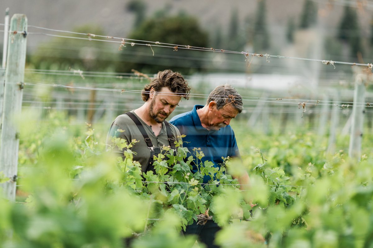 Nominations are now open for the viticulturist of the year award. This award is to recognize those in our industry who strive to grow the very best #BCWine grapes. Self nomination encouraged! 

grapegrowers.bc.ca/bcga-viticultu…