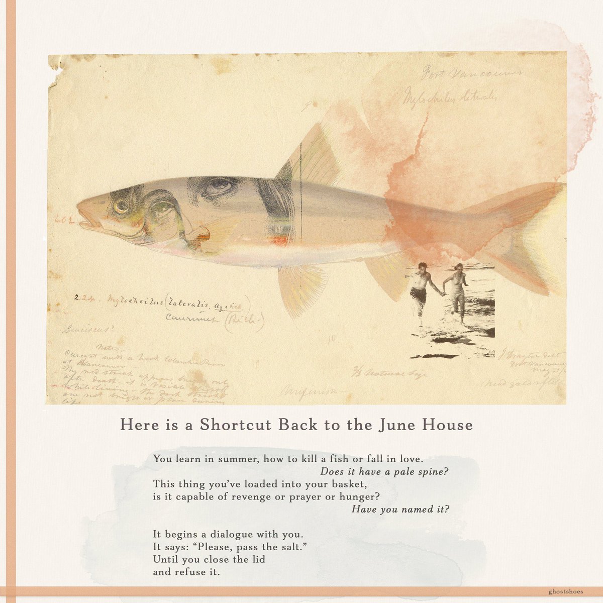 feels appropriate to share this one again as we inch closer to June