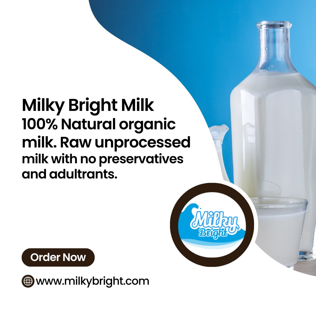 Milky Bright Milk 100% natural organic milk. Raw unprocessed milk with no preservatives and adultrants.
#dairy #milk #dairyfarm #cows #farm #cowmilk #dairycows #vegan #food #agriculture #dairyfarming #healthymilk #dairyproducts #dairymilk #organicmilk