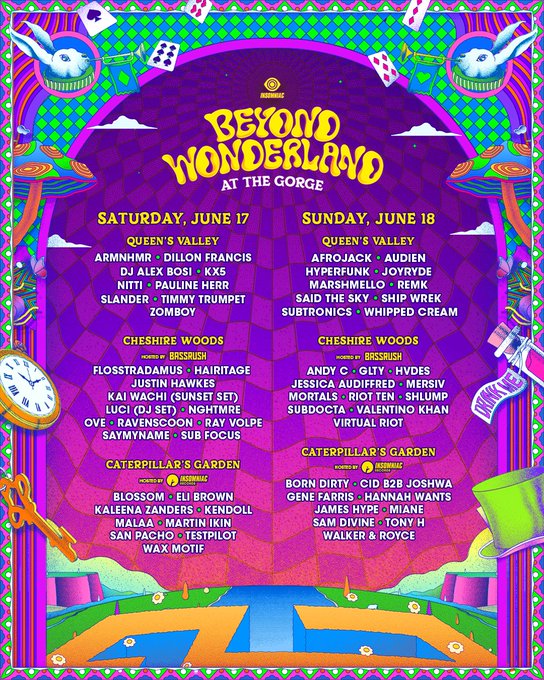 Beyond Wonderland Gorge lineup