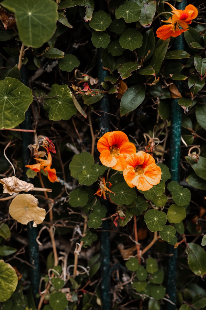 La Playa Hotel tweet media