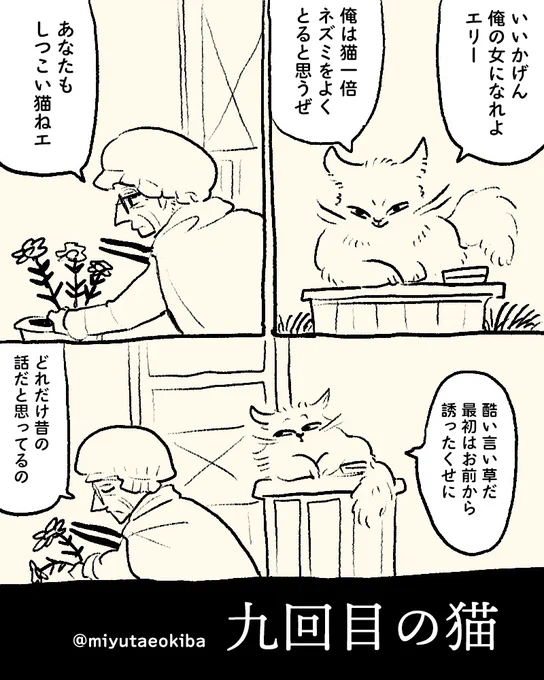 おばあちゃんの猫の話