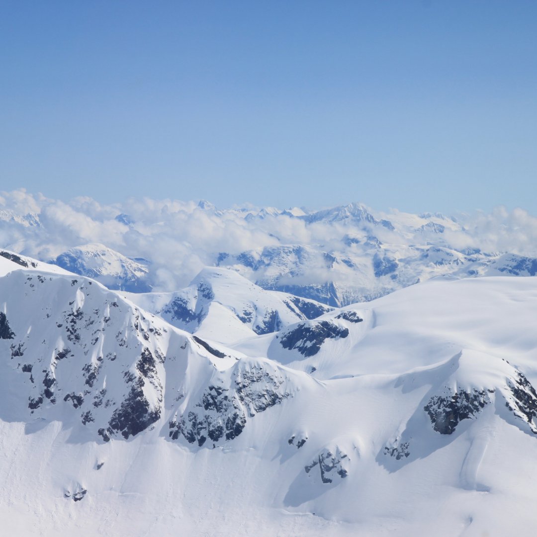 What's better than the pure white views of Alaska? 🗻

#explorealaska #alaskanadventures