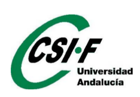 CsifUGRCeuta's tweet photo. CSIF ANDALUCÍA: Reunión con los máximos responsables de la Consejería de Universidades el 9 de mayo de 2023
No se han producido avances en la negociación de la nueva convocatoria de los complementos autonómicos para el profesorado ni en la negociación de la carrera horizontal. https://t.co/OQtxGYYl29