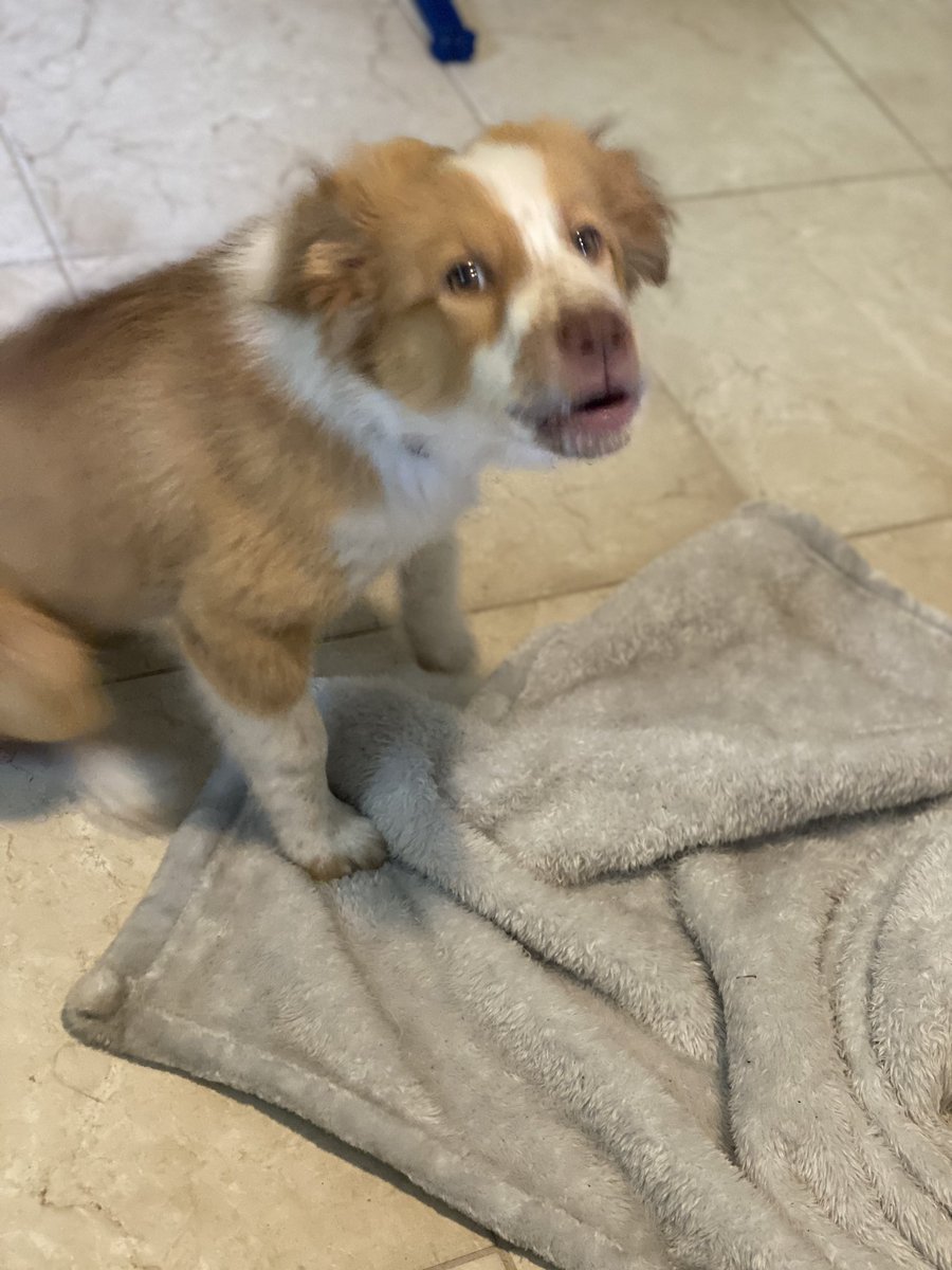 Angy 😡