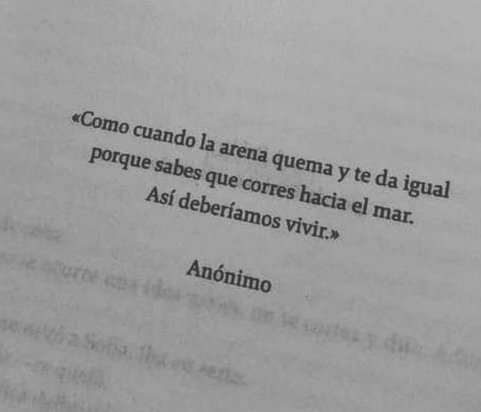 literland tweet media