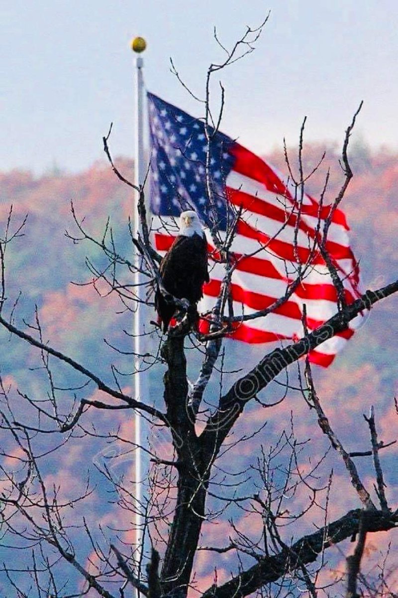 💕 <a href="/LsgaMike/">LSGAMike</a> 
<a href="/TrumpGirlLove/">Trump Girl</a> 
<a href="/DFBHarvard/">Daniel F. Baranowski</a> 
<a href="/Chloe4Djt/">William B</a> 🦩
<a href="/chloemadison0/">chloe</a> 
<a href="/giftgab538/">🔥🔎🌟GIFT OF THE GAB🌟🔍🔥</a> 
<a href="/PriamtheB/">PriamtheBold</a> 
<a href="/j0ker937/">J∅kër Kîng 👑</a> 
<a href="/GoldenWing2022/">CBear</a> 
@Funkytown_01 
<a href="/LaroccoJoseph/">Just Joe</a> 
<a href="/JacobHookup/">JacobSailor</a> 
<a href="/TheGrayRider/">David Joe May</a> 
<a href="/1776Eagles/">ThousandEagles🇺🇸🦅🇺🇸</a> 
<a href="/827js/">Jeff pontz</a> 
@Jeffrey64230099 
<a href="/james_pidd/">James Pidd</a> 
<a href="/45BigBadWolf/">BIGbadwolf🇺🇸Buck Fiden!🇺🇸</a> 
<a href="/dontcavitate/">Run Silent</a> 
<a href="/libhunter92/">Dad Bod Danny</a>