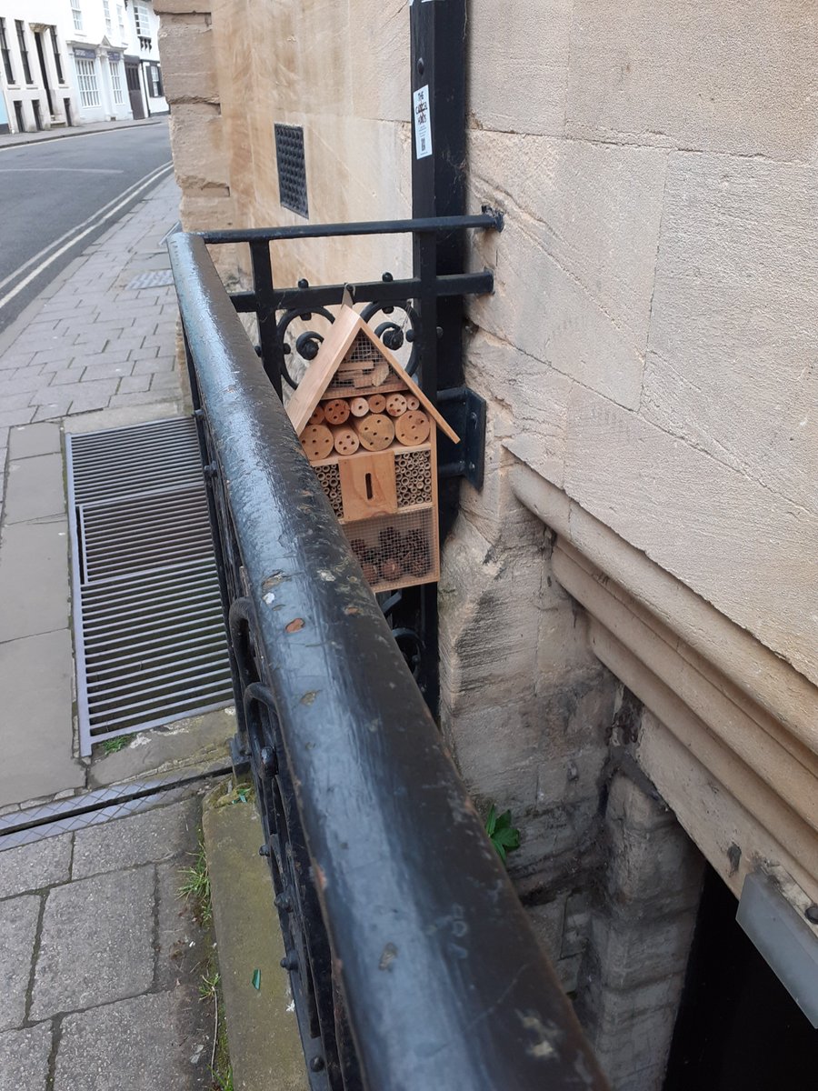 HMCOxford's tweet photo. 🧐Spotted in Holywell Street, outside @oxmartinschool. 
#RoomForUsAll #StreetSaturday #BugHotel #LoveInsects https://t.co/Cu4WSU3Q10