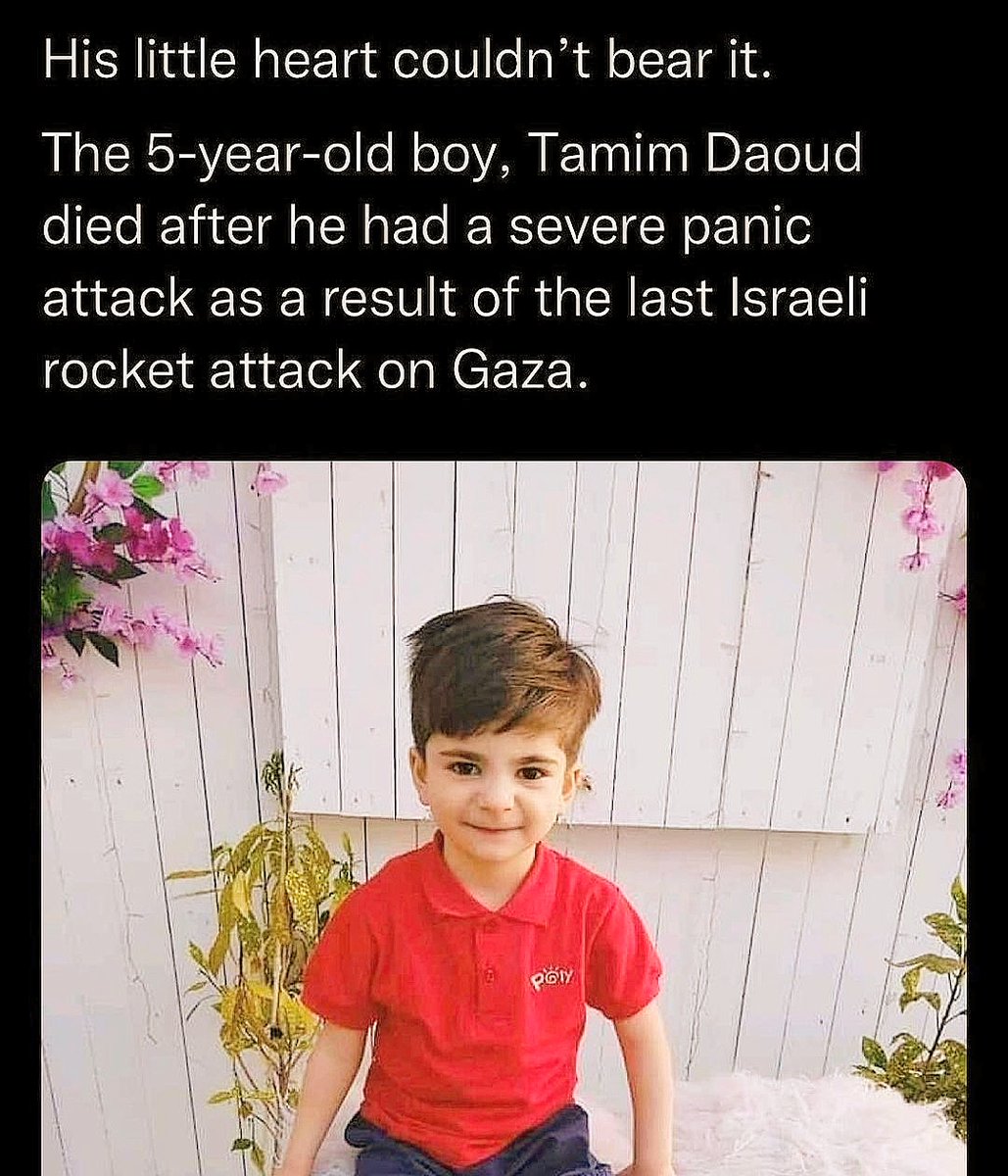 SyedSuhail488's tweet photo. @LironDiaz One day you to understand the reality of "so called occupied Israel" and you accept the truth.
#PalestineUnderAttack #Palestinelivesmatter https://t.co/flepj176Jz