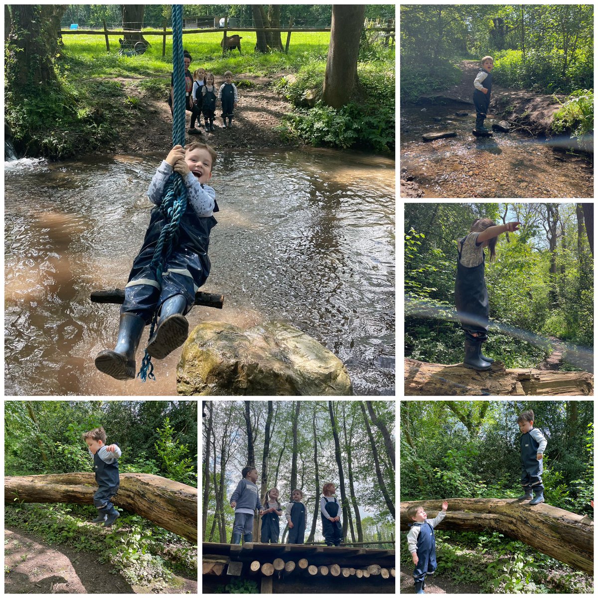 the_ECCC's tweet photo. ‘The best classroom and the richest classroom is roofed only by the sky’ - Marget McMillan

Today our forest schoolers showed great risk taking skills by swinging across the steam, climbing and jumping from height. https://t.co/KrK1lQOzZH