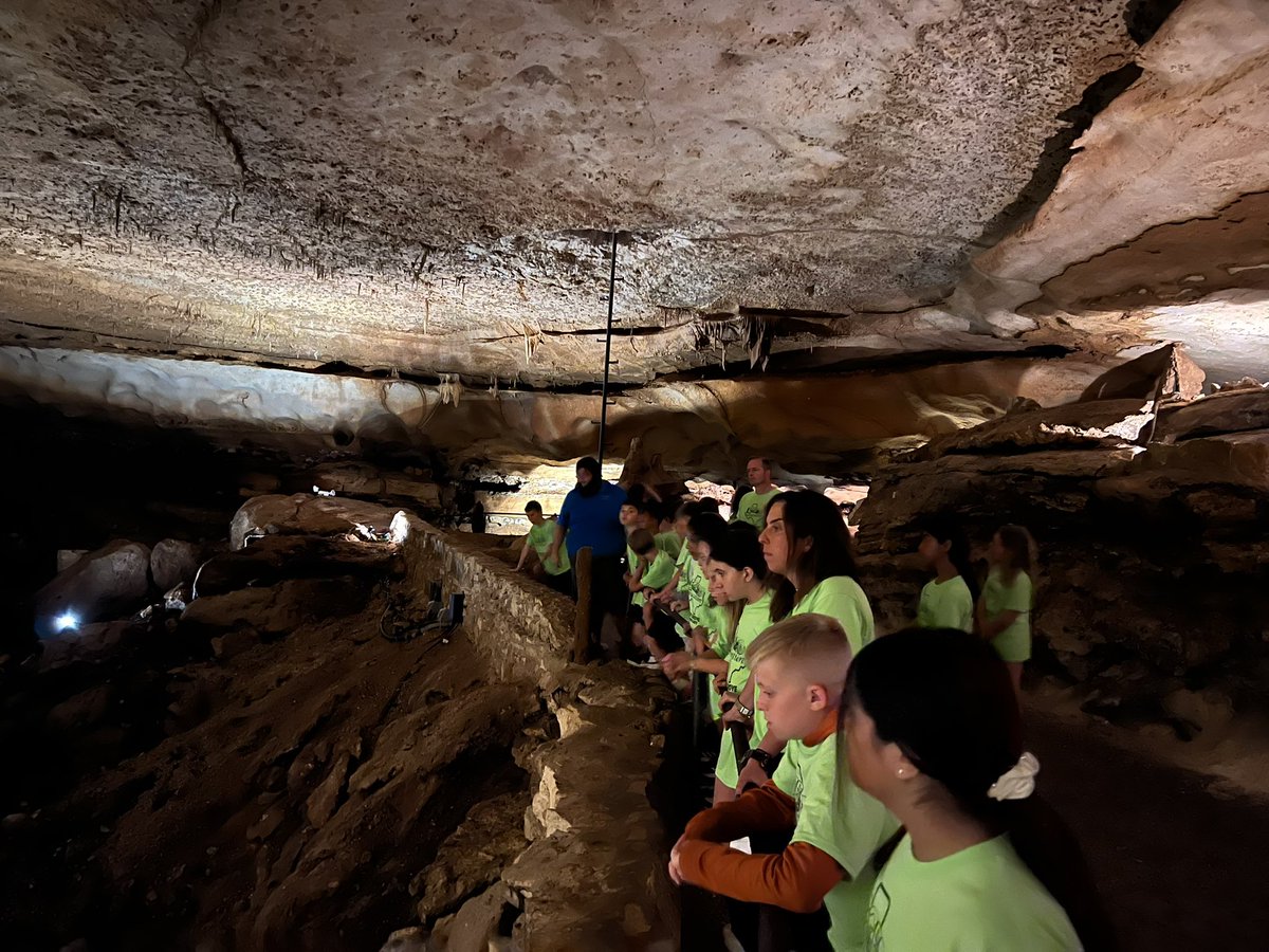 Mrs. Kleiman tweet media