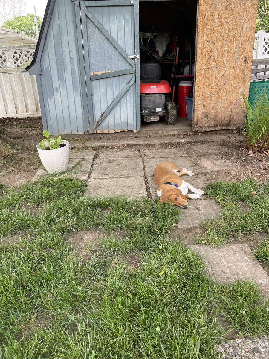 BenRisinger's tweet photo. Yard work with @RavenDoc, mom and Sadie Mae. I hated this when I was a child, now it’s zen to me. #woosaa https://t.co/pCNKk9e027