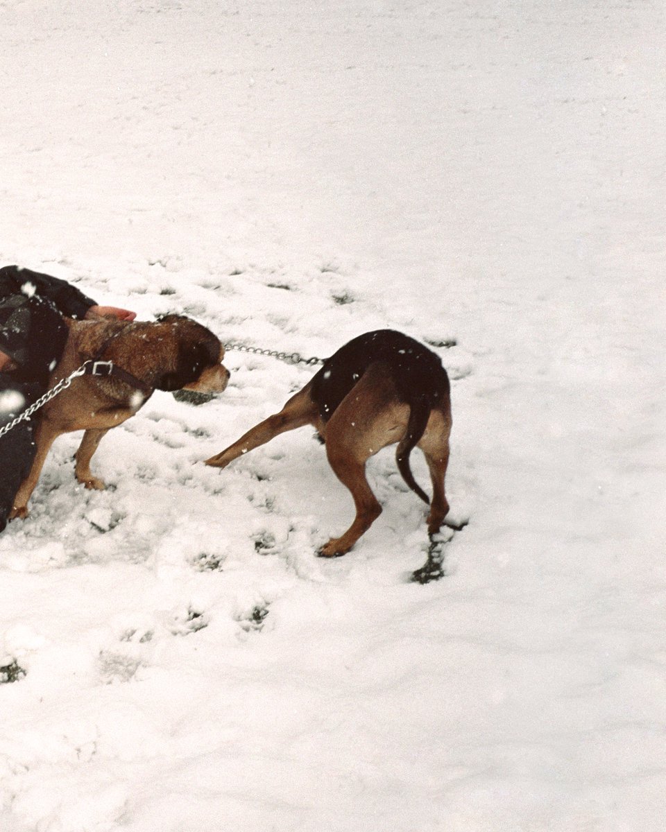 Alice Dellal, Romeo and Penny in the THAMES and Hunter Original Tall Boots and hat #thamesandhunter

Shop the full collection: bit.ly/3nK7VGN

📸: Blondey