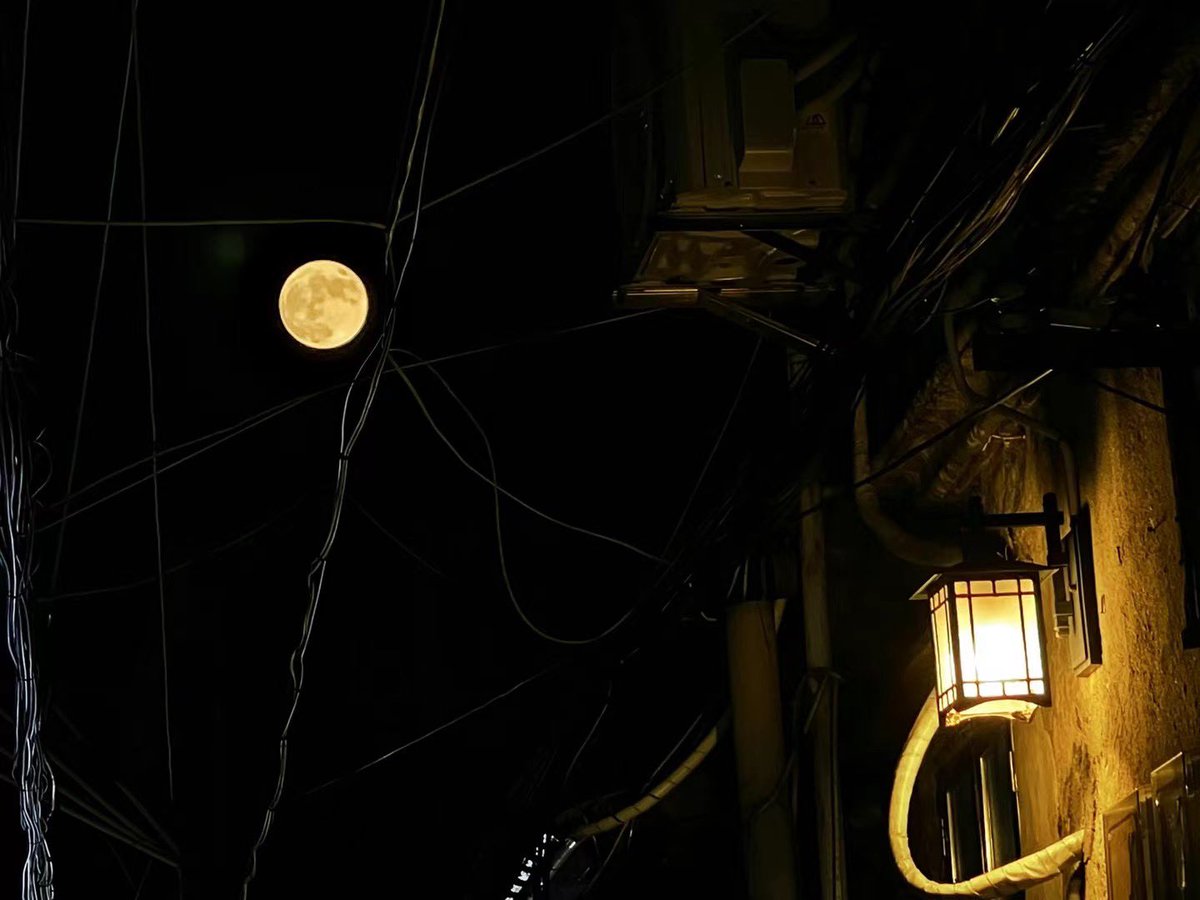 NumberWan tweet media