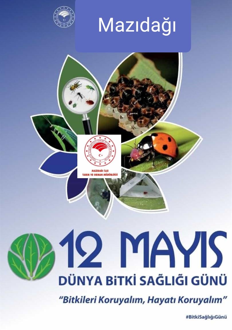Mazıdağı İlçe Tarım ve Orman Müdürlüğü (@mazidagitarim) on Twitter photo 
