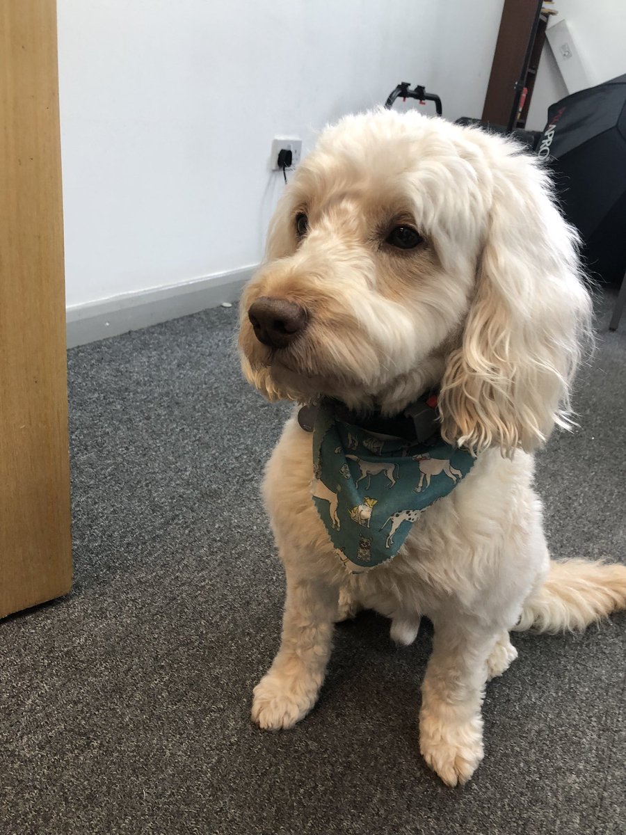 Charlie Thompson tweet media