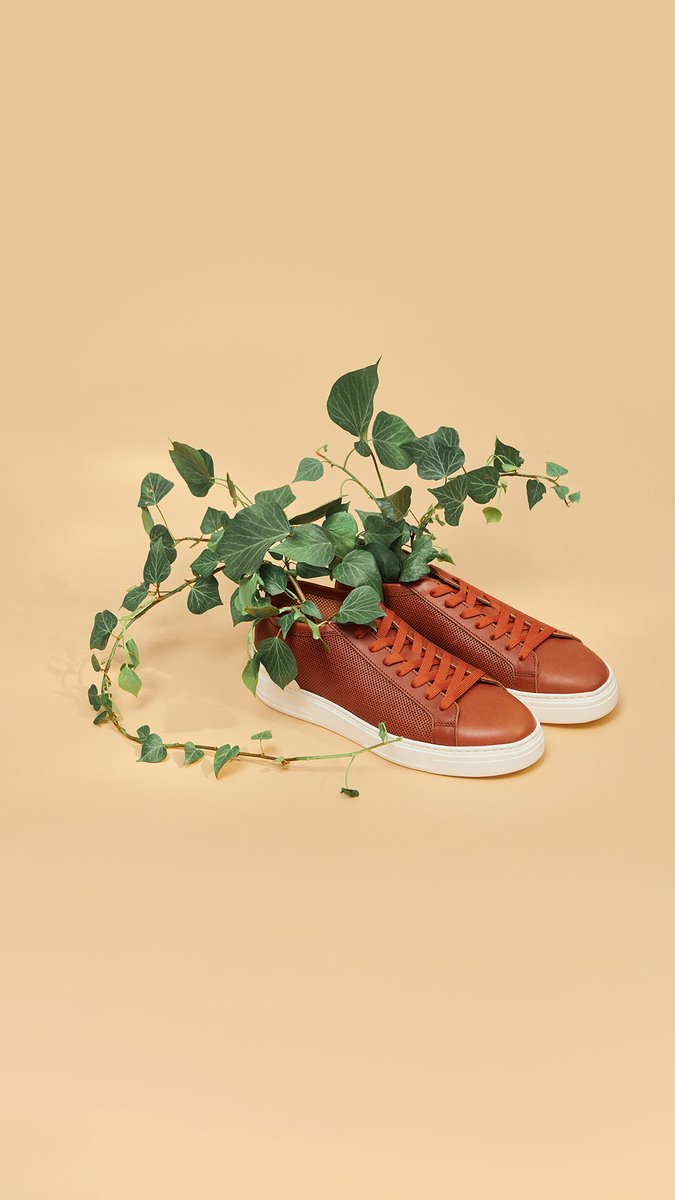 Fabi_Shoes's tweet photo. Challenge or Lew?
#fabishoes https://t.co/1baBUaBJPP